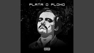 Plata O Plomo