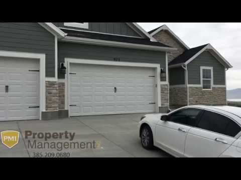 brand-new-basement-apartment-for-rent
