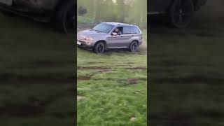 Олень на bmw x5