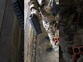 4連ショットシェル グレネード スピードローダー