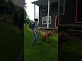 A simple technique to stop a jumping dog