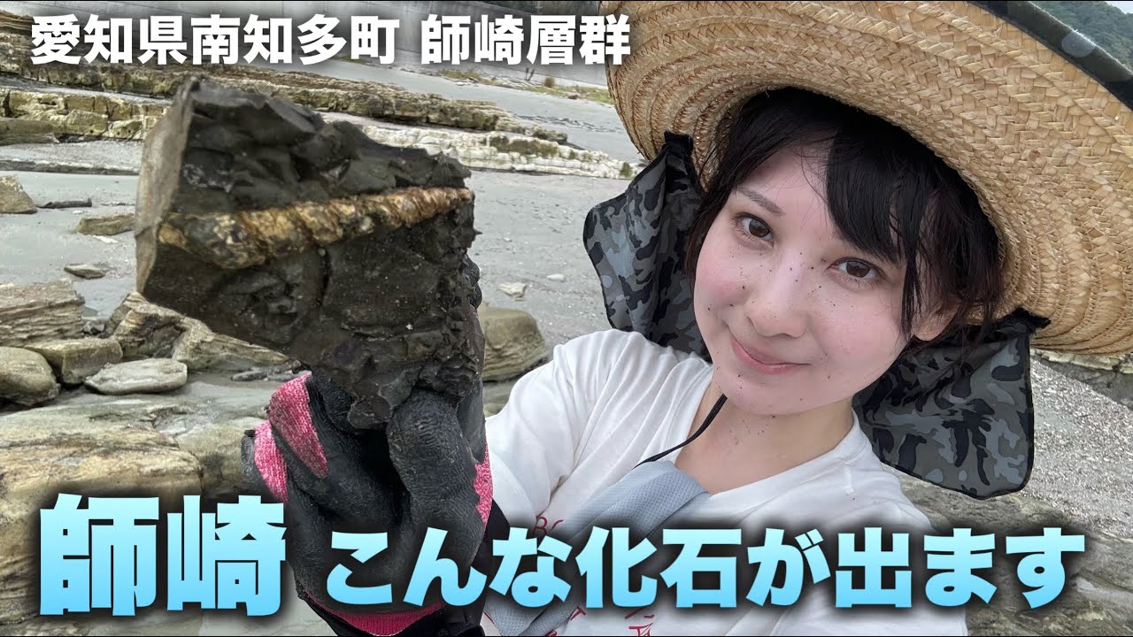 師崎層群で化石採集！カニと貝化石探しが楽しすぎた！