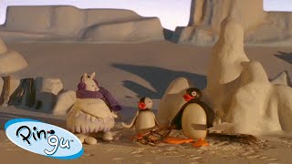 ⁣Pingu and the Abominable Snowman 🐧 | Pingu - Official Channel | Cartoons For Kids