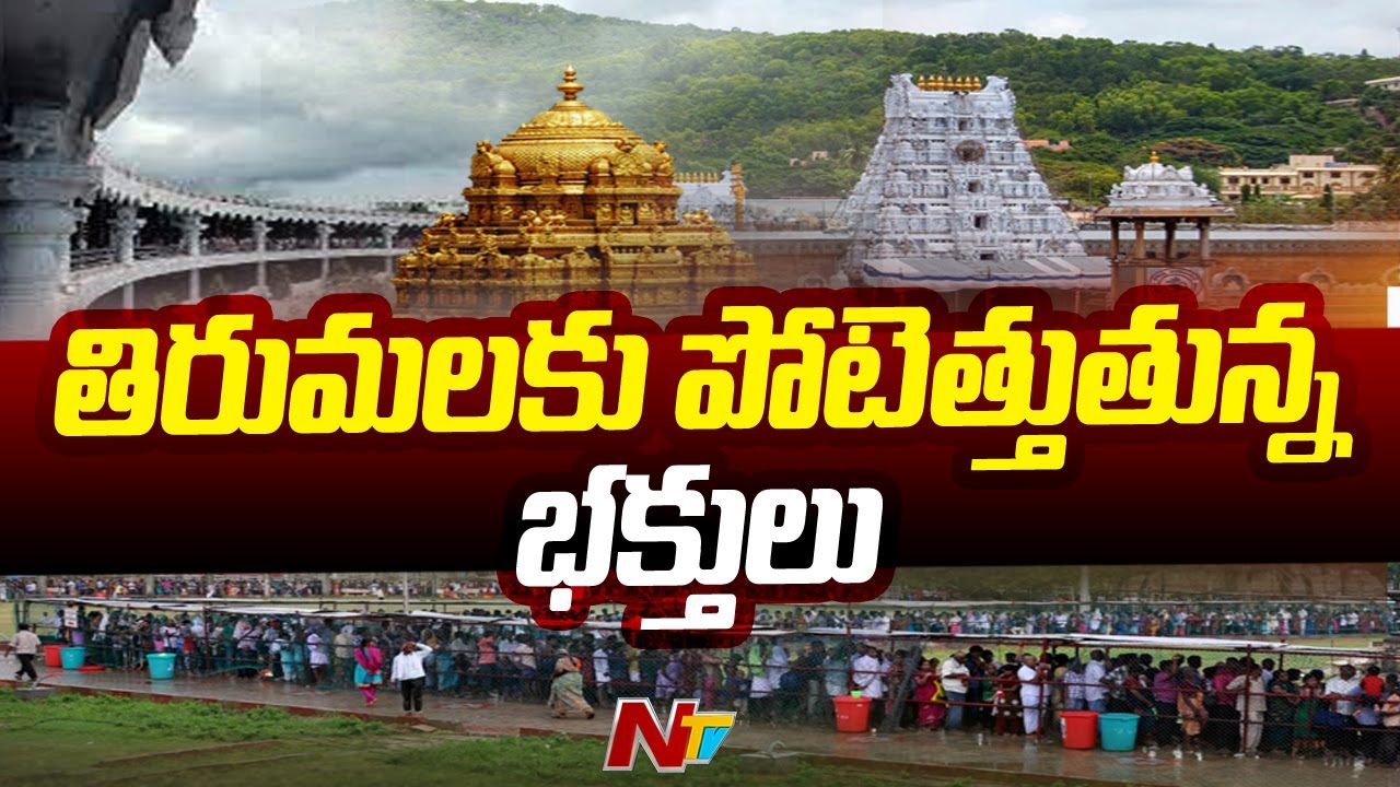 TTD Devotees Flock to Tirumala Srivari Sarva Darshan  Ntv