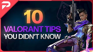 10 Tips You Didn't Know