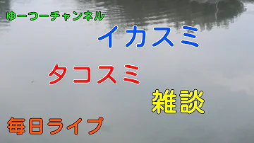 イカスミタコスミ イカスミタコスミ