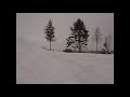A. Ammal pictures and poul Simon music(cloudy) 2021 north Sweden 🇸🇪.