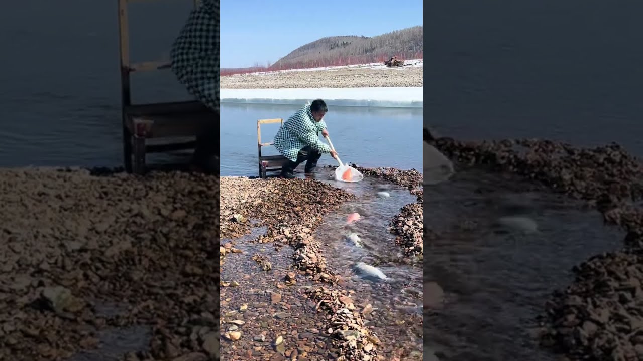 Fishing In Mohe The Northeast Joy Of Outdoor Wild Experience