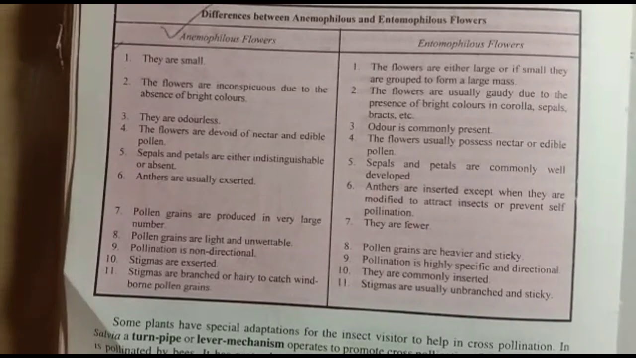 Class Plus 2 Biology Topic "Difference B/w Anemophilous and