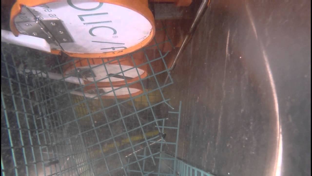 Scallop suction trials - MRI