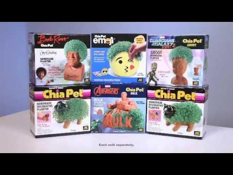 2020 Chia Pets - Richard Simmons - Bob Ross - Chia Hedgehog - Chia