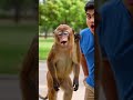 Gullu bandar | third vlog | benim tech