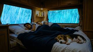 Rain Sounds for Sleeping ⚡ Heavy Rain, Soft Wind, and Rolling Thunder on a Cozy Car Roof at Night