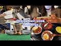 【exam week】🇺🇸👩🏻💻アメリカの大学生ってこんなに忙しいの?| a busy week at college ( •︠ˍ•︡ )