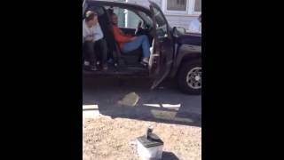 Tally Hoe Roofing Twerk