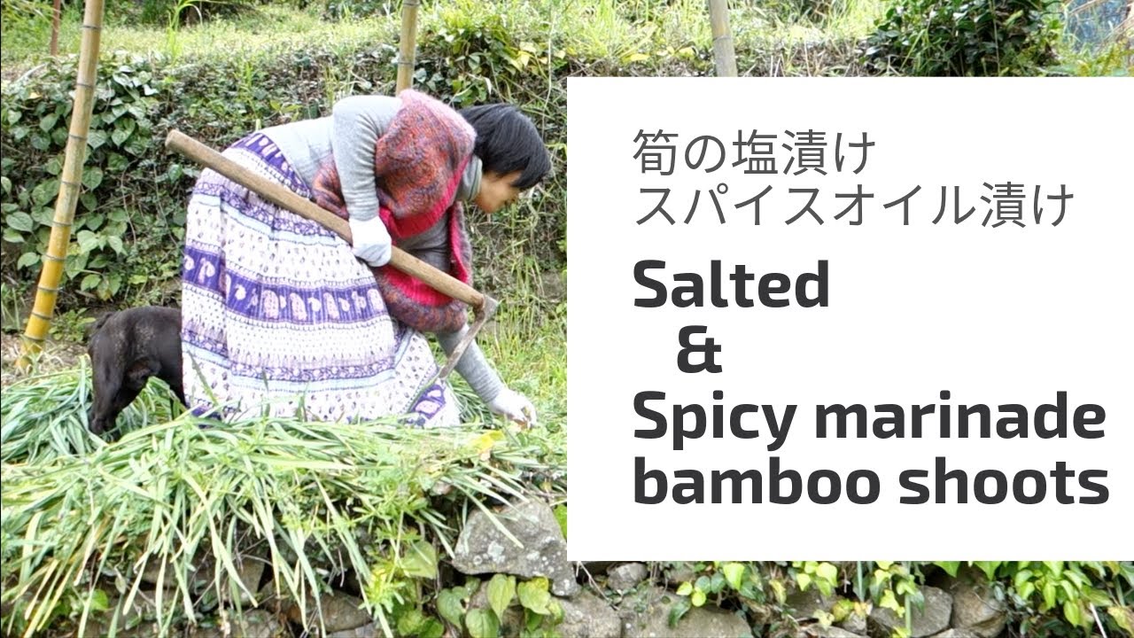 Salted Bamboo Shoots Spicy Marinade Bamboo Shoots 筍の塩漬け スパイスオイル漬け Youtube