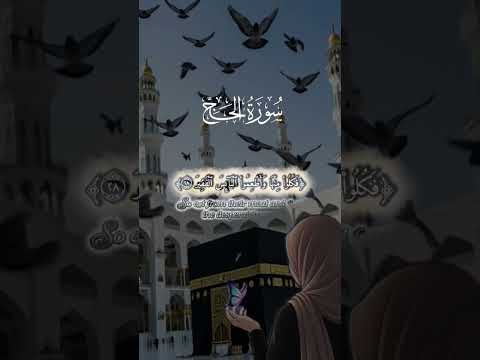 #الحج #لا_حول_و_لا_قوة_الا_بالله #لايك_اشتراك #اكسبلور