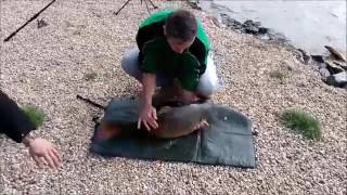 Tevzi Gaeqca Metevzes