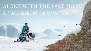 One Last Winter Adventure – Solo in the Arctic With Amazing Wildlife & stunning views| Filmed in May