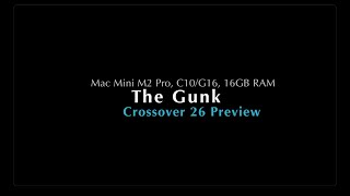 The Gunk, Crossover Preview, Mac mini M2 Pro, 16GB