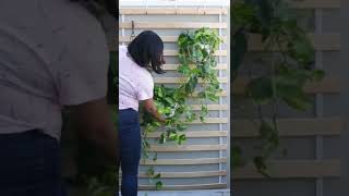 DIY Garden Wall #shorts