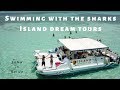 Nager avec les requins  yolo  island dream tours le meilleur sur ambergris caye  leaw au belize