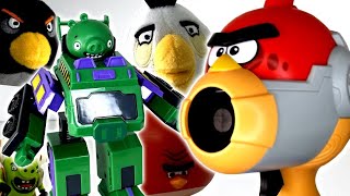 CURSED Angry Birds Products