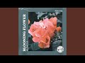 Blooming Flower mp3