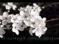♥♫Ernesto Cortazar - Intermezzo(Relaxing music) ♥♫