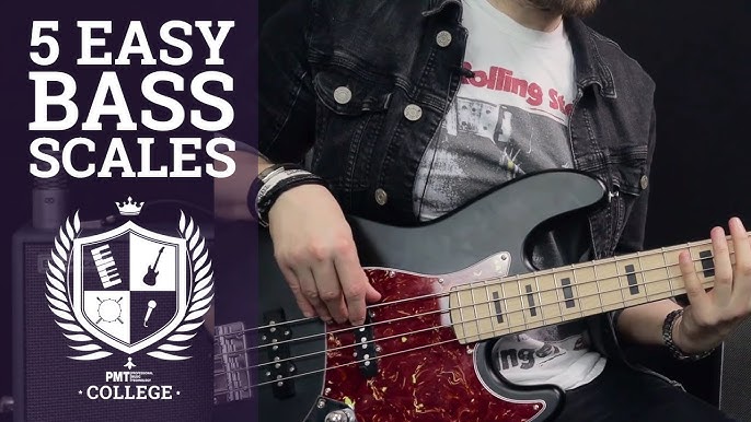 Parts On A Bass Guitar Explained - Complete Beginner's Guide to Bass Guitar