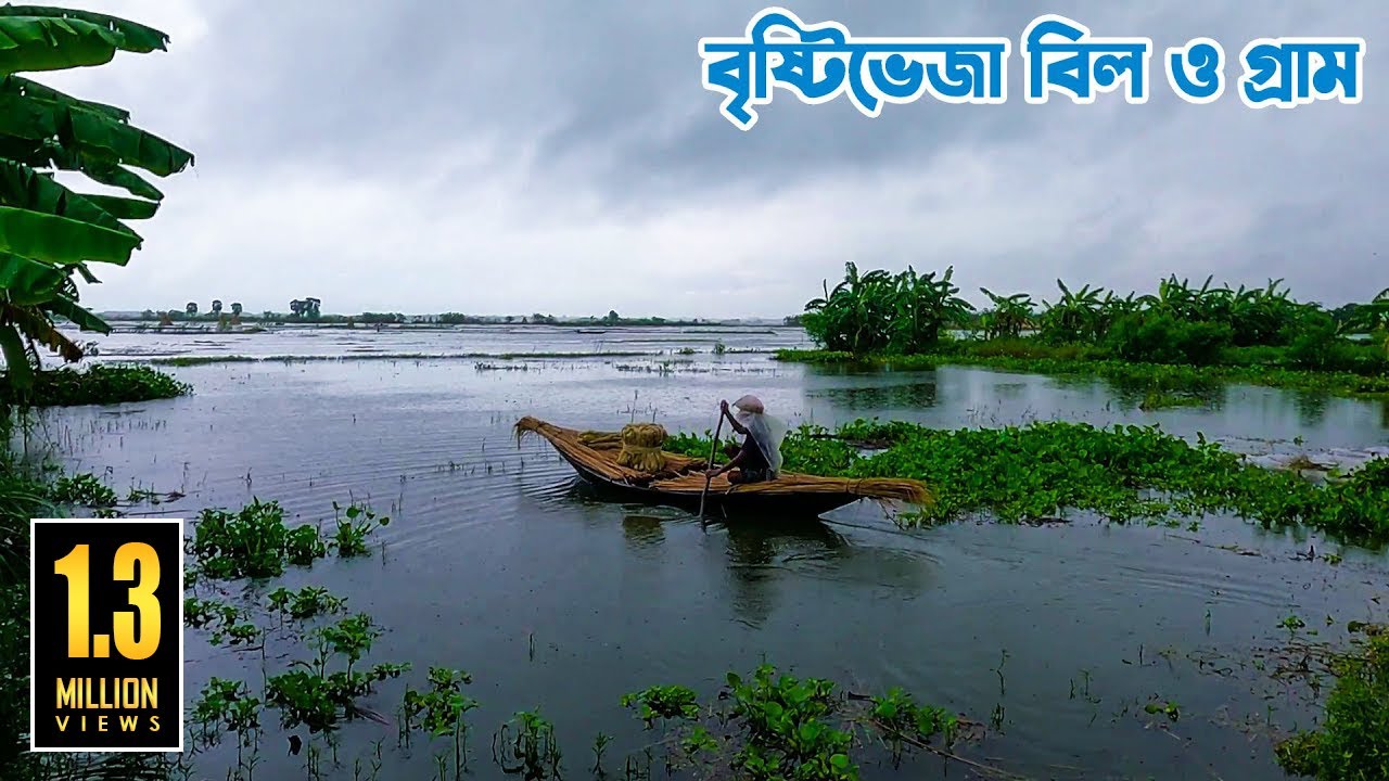 রাজবাড়ীর বৃষ্টিভেজা বাড়িগ্রাম বিল ও গ্রাম || Panorama Documentary