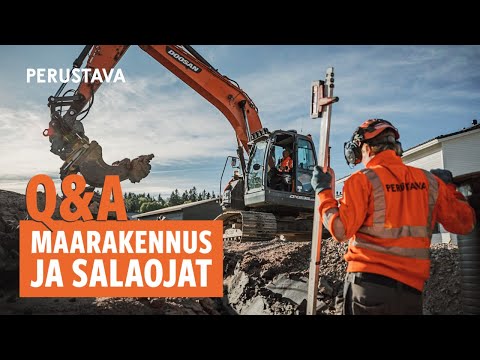 Video: Aivan yhtä brutto kuin äänet: alhaisen alas pyöreät linnut koirilla