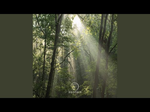 Watch First Snow on YouTube Watch First Snow on YouTube