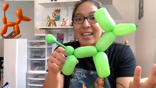 One balloon dog.  Welcome to Balloon Twisting For Beginners and everyone else. Dog balloon tutorial.