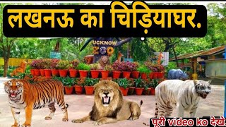 Lucknow Zoo | लखनऊ चिड़ियाघर | Nawab Wajid Ali Shah zoological garden Lucknow U.P | All Animals bird