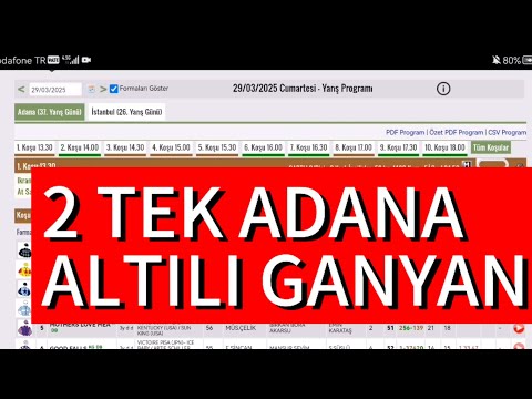 29 Mart 2025