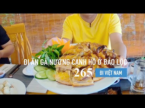 Video #265 Ăn gà nướng ở Bảo Lộc & trời lạnh ngắm mưa phùn... - youtube