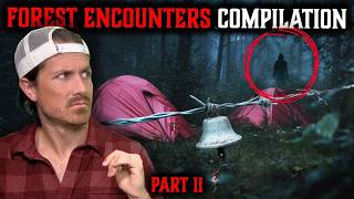 Top 5 Bingeable SCARY STORIES • FOREST HORROR Edition Vol. 1