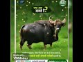 India's most Threatened Turtels... #generalstudiesforupsc #pcs#shorts