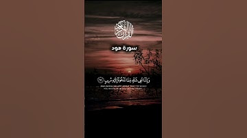 ماتيسر من سورة هود بصوت احمد النفيس #القرآن