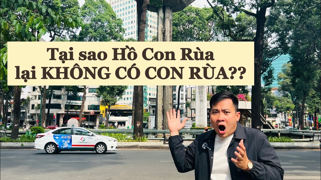CON RÙA Ở ĐÂU TRONG HỒ CON RÙA?