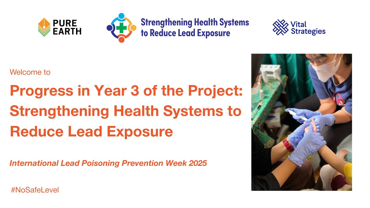 Webinar: Progress in Year 3 of the Project: Strengthening Health Systems to Reduce Lead Exposure