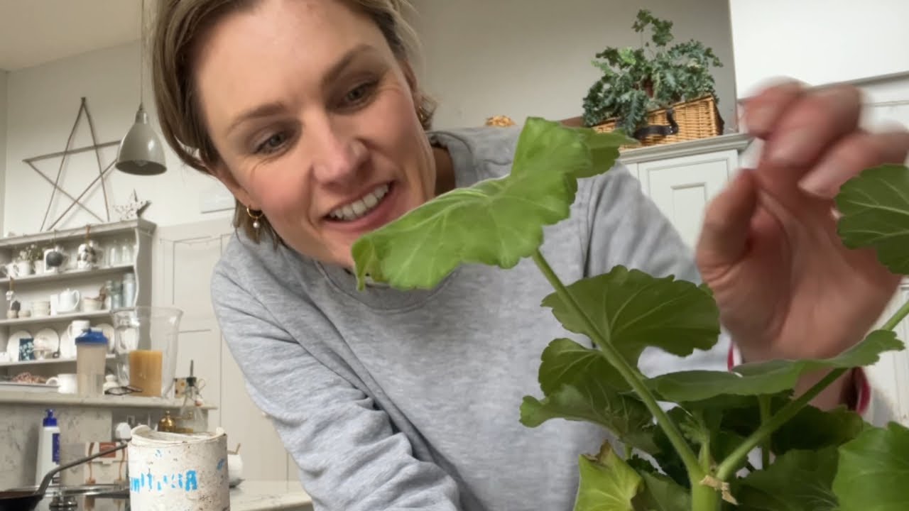 Садоводство дома | Черенки герани 🍃 Уход за домашними животными и садом 🪴
