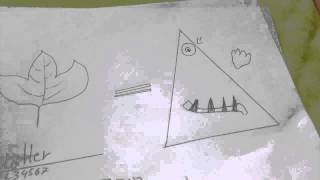 Blätter Sind Illuminati Confirmed