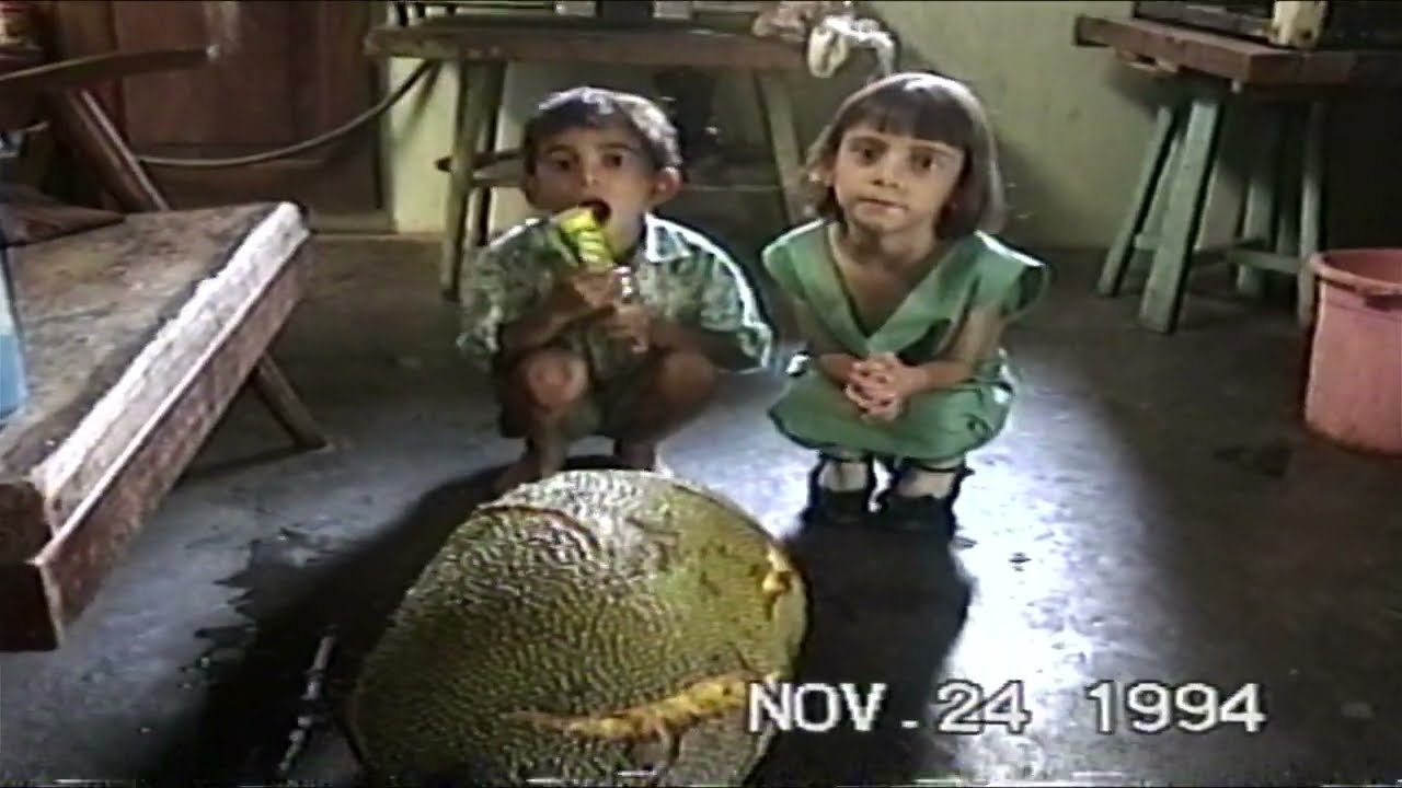 MERAPI ERUPTION 1994