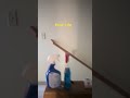 boredom 2