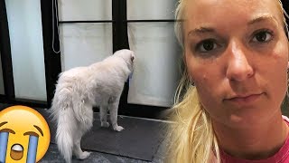 Dogs React: Home Alone with Chels (SCS #169)