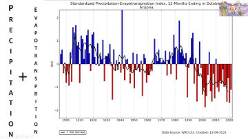 Firewise Landscape Principles in the Sonoran Desert