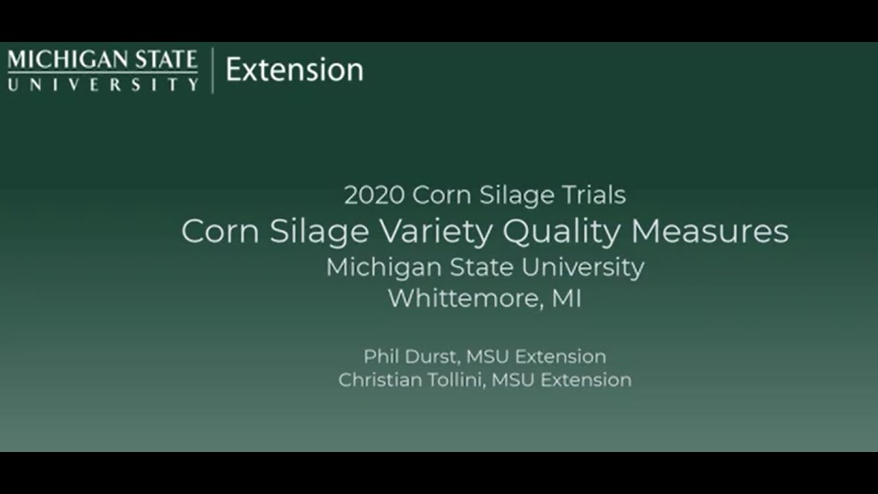 Corn Silage Quality Measures
