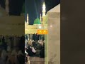 مدینہ سے بلاوا آ رہا ہے #alhamdulillah #alhamdulillah #islamivideo #rozaerasool #love